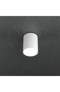 Plafoniera dal design moderno con struttura in metallo verniciato disponibile in diverse finiture di colorazione, 1 Luce a Led (Gx53)