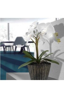 Lampada da tavolo a forma di fiore, 1 luce a LED 0.06W 