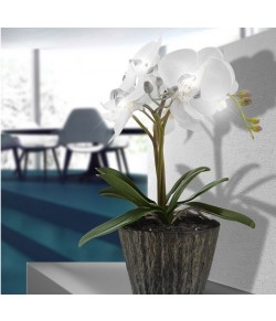 Lampada da tavolo a forma di fiore, 1 luce a LED 0.06W 